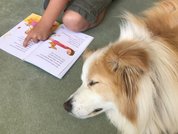 Lehrgang_Schulhund_20_12_2021